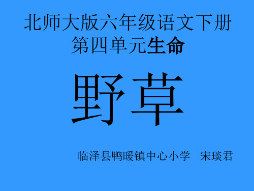 六年级下册语文课件-4.2《野草》北师大版 (共33张PPT)