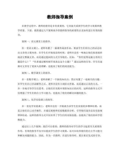 教师指导案例