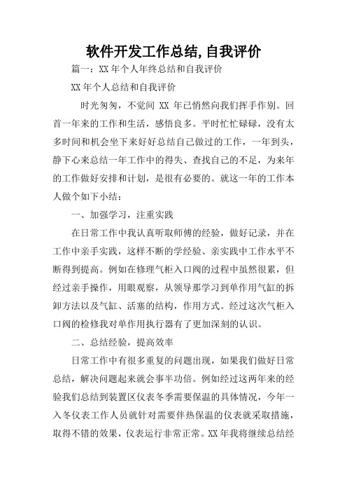 软件开发工作总结,自我评价