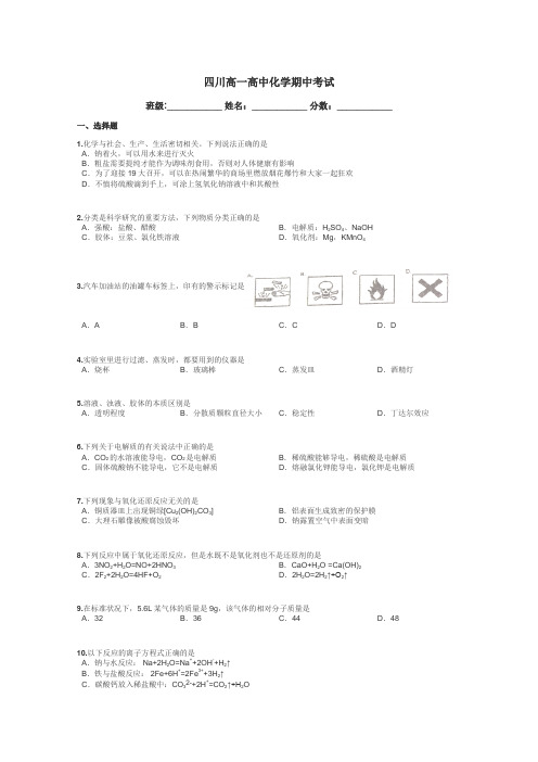 四川高一高中化学期中考试带答案解析
