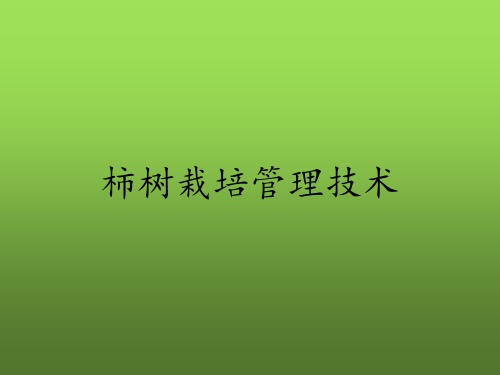 柿树栽培管理技术