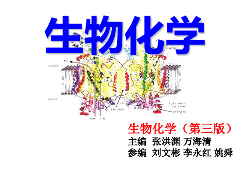 第四章 蛋白质化学共197页文档