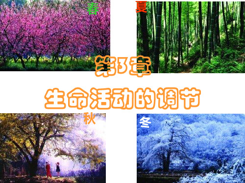 浙教版初中科学八上2.8《植物生命活动的调节》(共54张PPT)