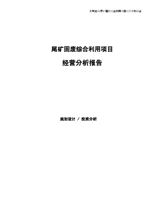 尾矿固废综合利用项目经营分析报告