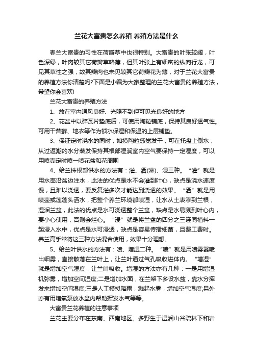 兰花大富贵怎么养殖养殖方法是什么