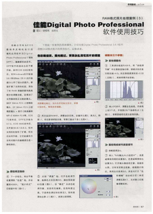 RAW格式照片处理案例(3)  佳能Digital Photo Professional软件使用技巧