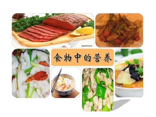 四年级下册科学课件-食物中的营养∣教科版 (共21张PPT)