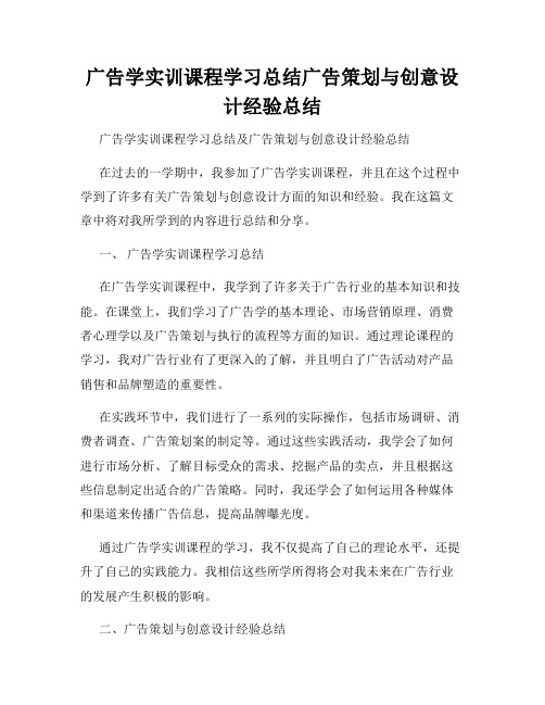 广告学实训课程学习总结广告策划与创意设计经验总结