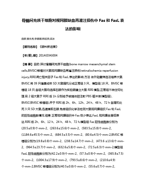 骨髓间充质干细胞对视网膜缺血再灌注损伤中Fas和FasL表达的影响