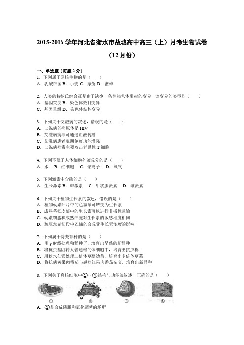 河北省衡水市故城高中2016届高三(上)月考生物试卷(12月份)(解析版)