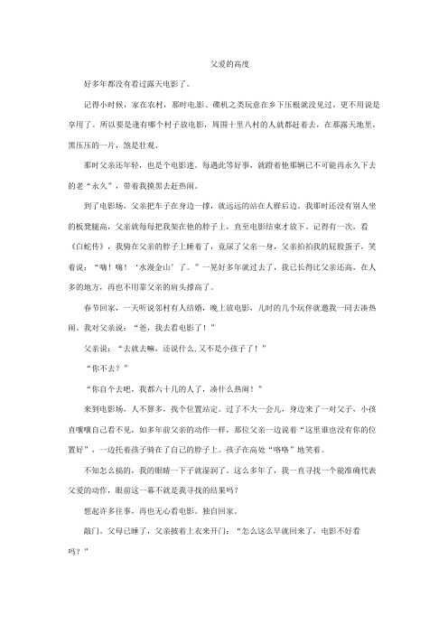 《父爱的高度》阅读练习及答案