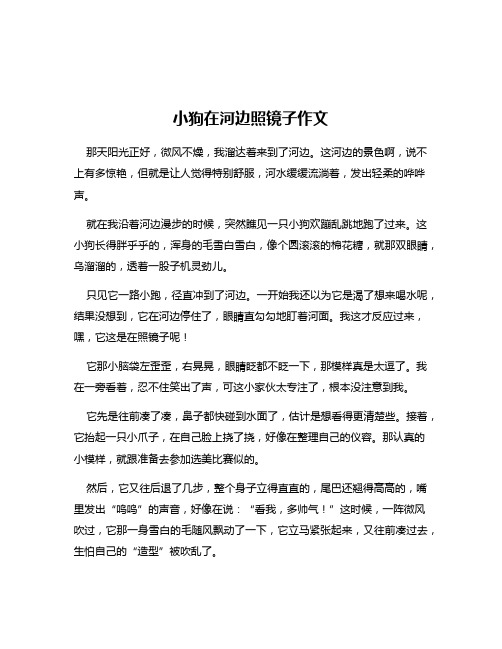 小狗在河边照镜子作文