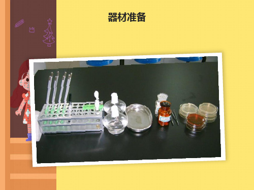 医学微生物学实验脓汁和粪便标本中病原菌的检测