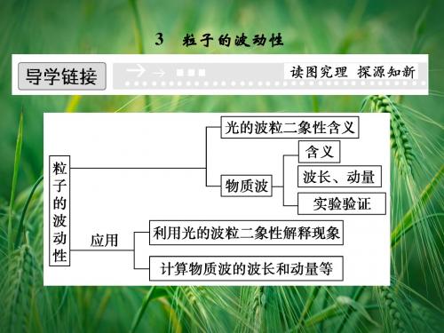 17.3 粒子的波动性课件1 新人教版选修3-5课件