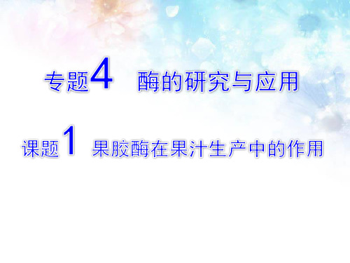 人教版高中生物选修一专题四课题1 果胶酶在果汁生产中的作用  课件(共14张PPT)