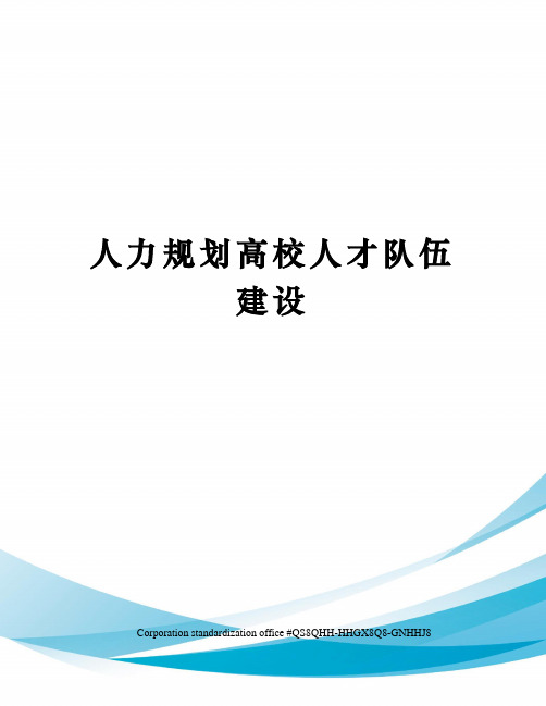 人力规划高校人才队伍建设