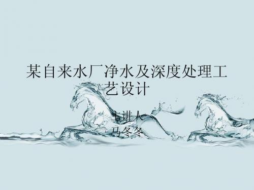 某自来水厂净水及