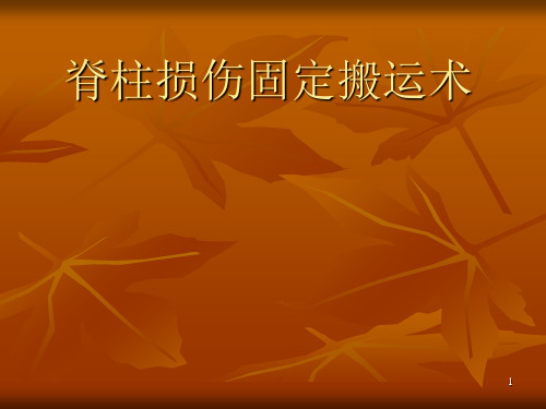 脊柱损伤固定搬运术讲义参考资料