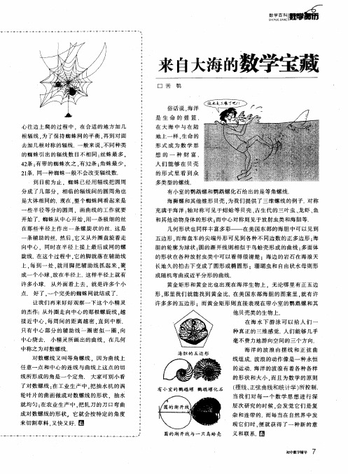 来自大海的数学宝藏