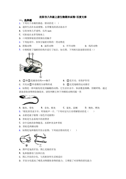 沈阳市八年级上册生物期末试卷-百度文库