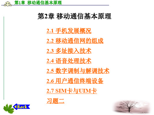 移动通信原理 PPT课件