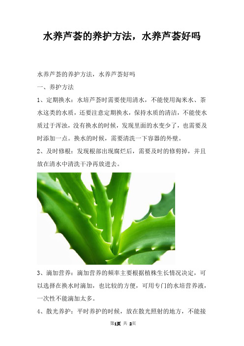 水养芦荟的养护方法，水养芦荟好吗