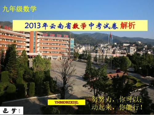 2013年云南省数学中考试卷解析