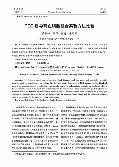 PEG诱导鸡血细胞融合实验方法比较