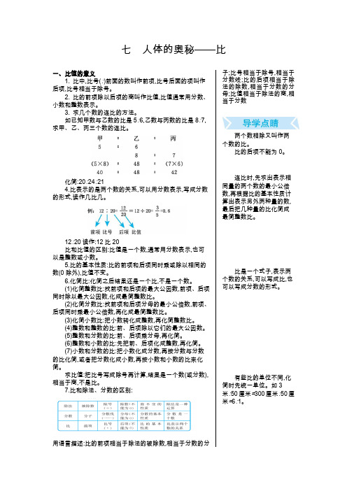 [精品]七 人体的奥秘——比