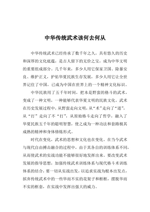 传统武术三千年该何去何从——卢飞宏