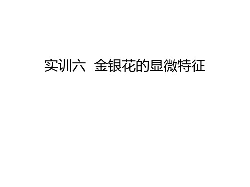 实训六 金银花的显微特征说课讲解