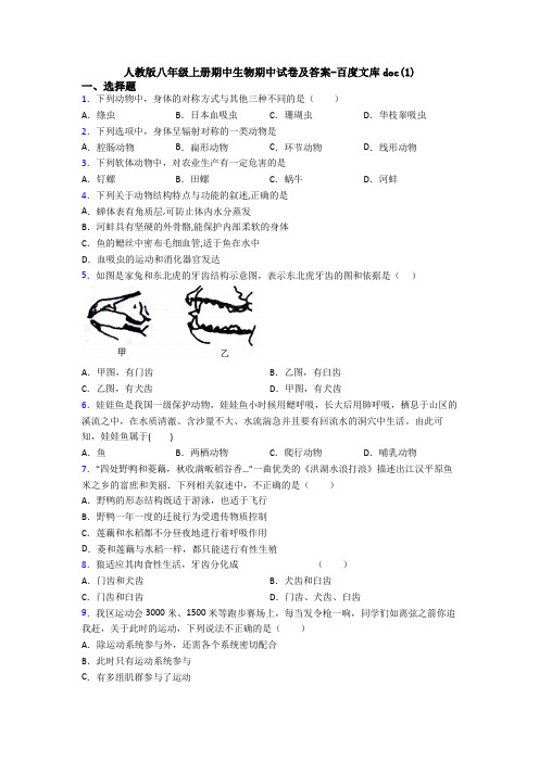 人教版八年级上册期中生物期中试卷及答案-百度文库doc(1)