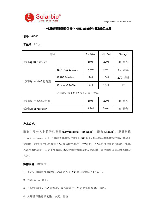 α乙酸萘酚酯酶染色液(α-NAE法)操作步骤及染色结果