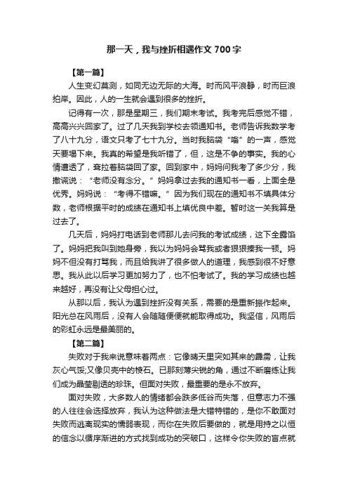 那一天，我与挫折相遇作文700字