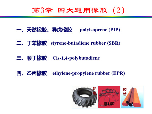 顺丁和乙丙橡胶解剖