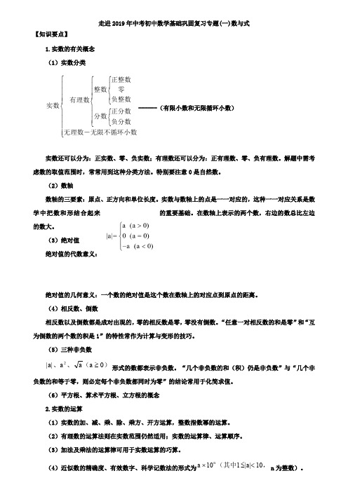 2019届成都市中考数学基础巩固专题复习(一)数与式