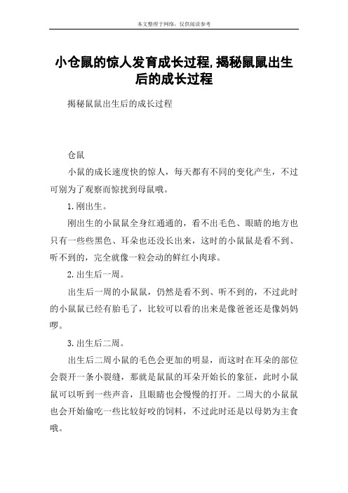 小仓鼠的惊人发育成长过程,揭秘鼠鼠出生后的成长过程