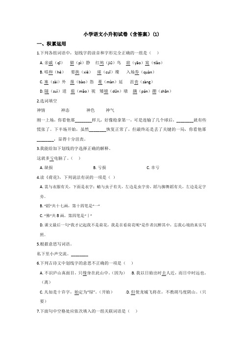 【6套打包】长沙广益实验学校小升初模拟考试语文试卷含答案