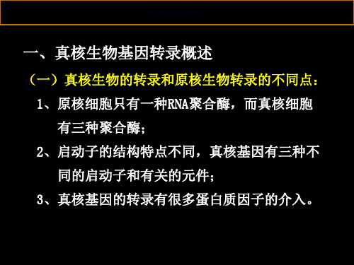 真核生物基因的转录