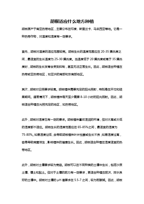 胡椒适应什么地方种植