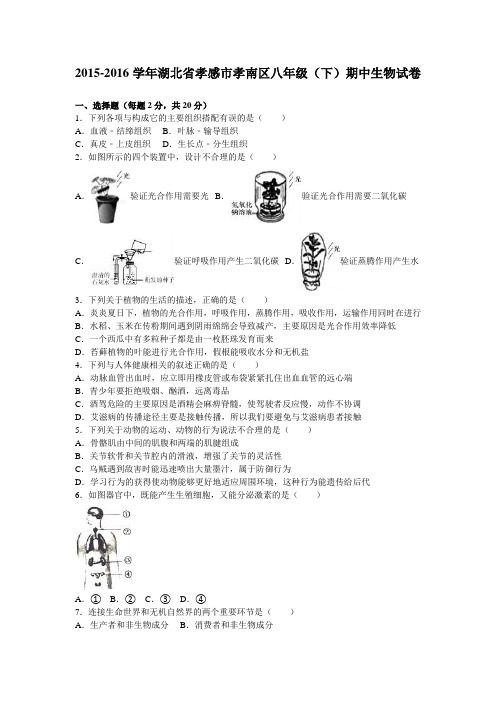 湖北省孝感市孝南区2015-2016学年八年级(下)期中生物试卷(解析版)