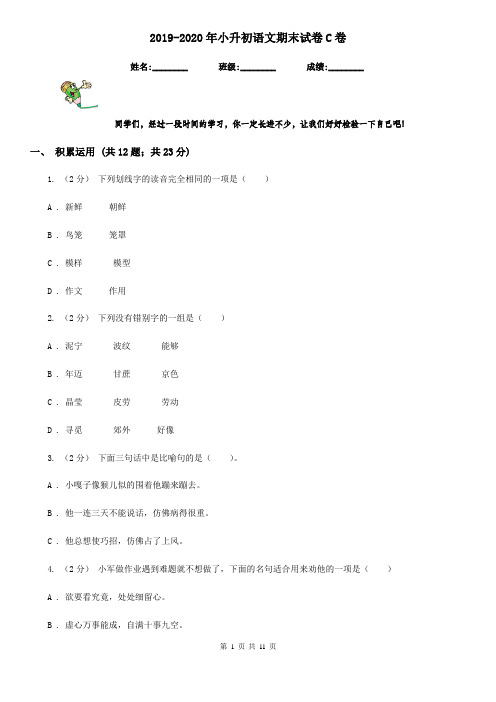 2019-2020年小升初语文期末试卷C卷精版