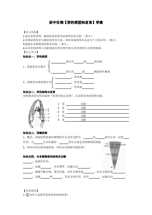 初中生物【芽的类型和发育】学案