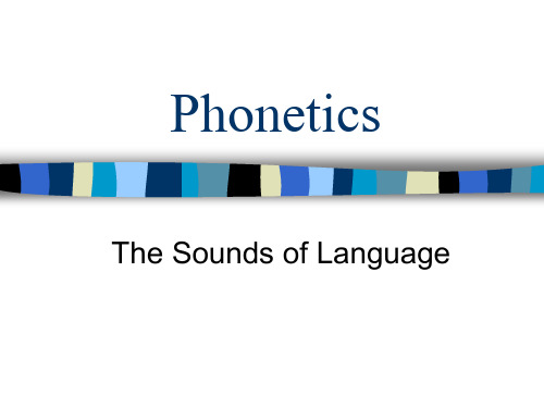 2 Phonetics 语音学