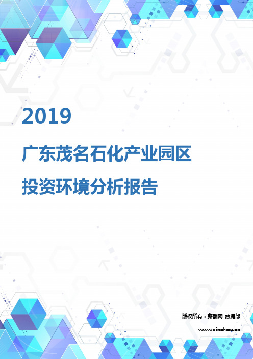 2019年广东茂名石化产业园区投资环境报告