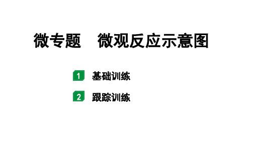 2024山东中考化学二轮专题复习 微专题 微观反应示意图(课件)