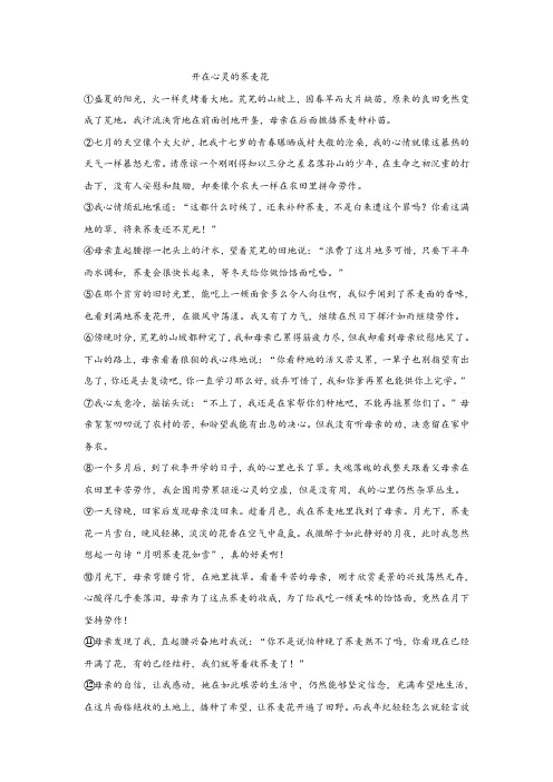 《开在心灵的荞麦花》阅读练习及答案