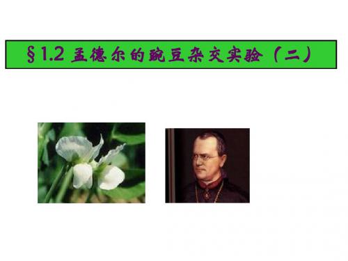 人教版教学课件必修2一章2节孟德尔的豌豆杂交实验(二)