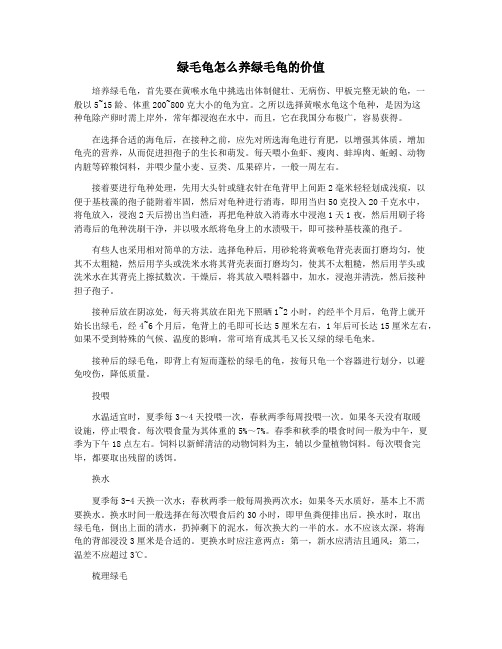 绿毛龟怎么养绿毛龟的价值