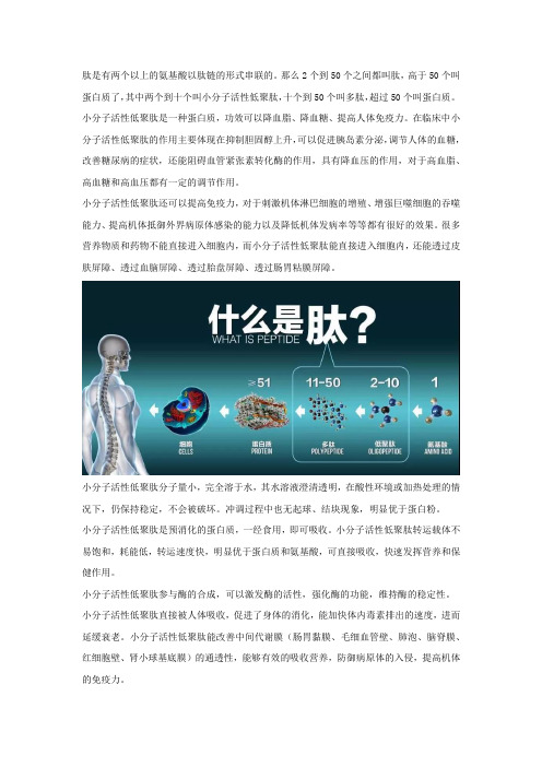 小分子活性低聚肽是什么？